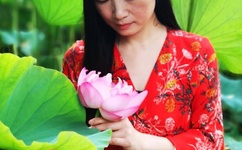 安塔芮丝百度影音